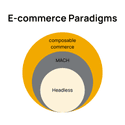 E-commerce paradigms