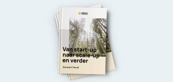Whitepaper Van start-up naar scale-up