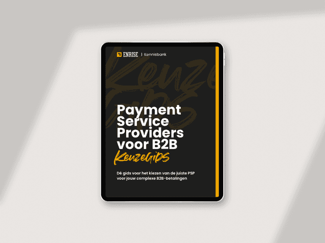 Keuzegids: Payment Service Providers vergeleken voor de B2B-markt